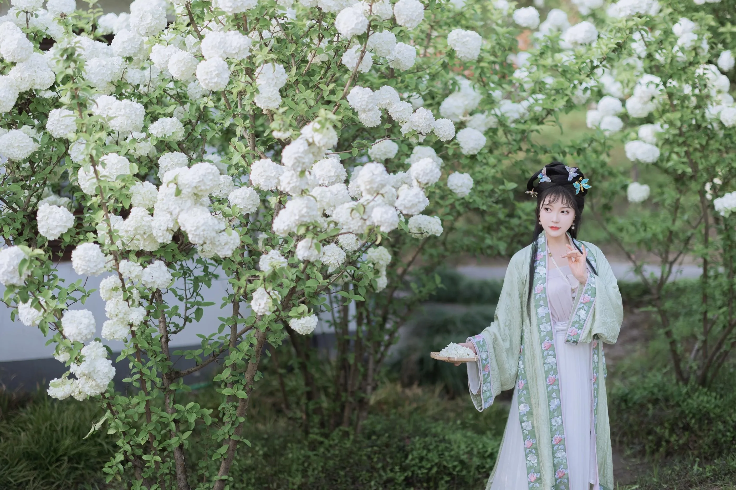 [艺图语] 2022.06.09 探春 璐璐haley [42P]插图8